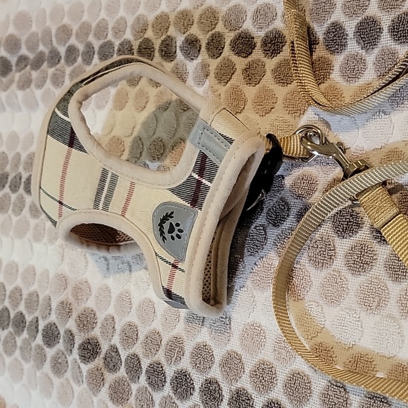 Cat leash - Picture 4 of 8